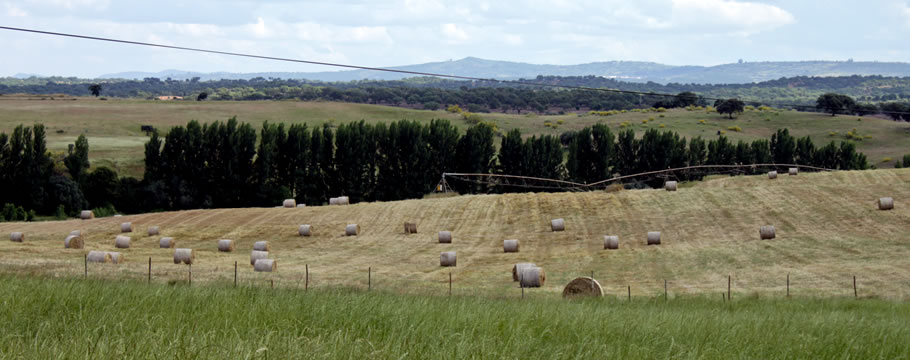 topo_home1.jpg